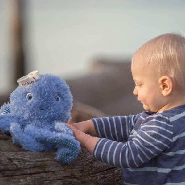 Ocho the Octopus - Image 3