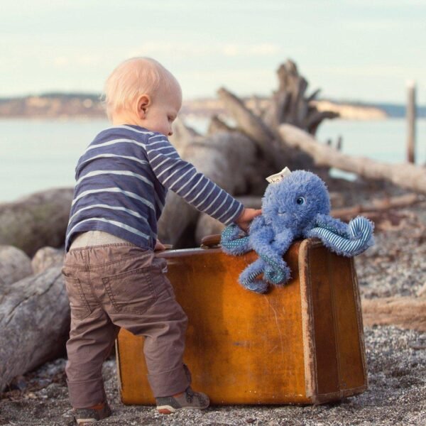 Ocho the Octopus - Image 4