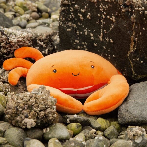 Happy Crab - Image 2